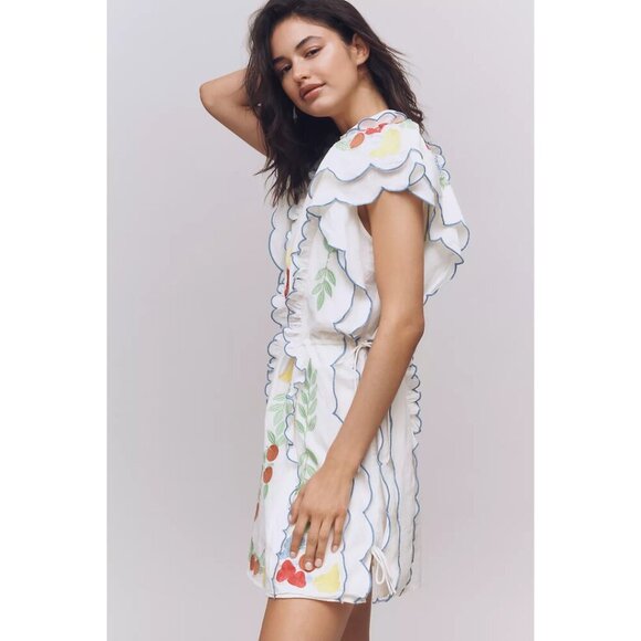 FARM RIO x Anthropologie Embroidered Ruffle Mini Dress in At The Table Small NWT - Picture 13 of 14